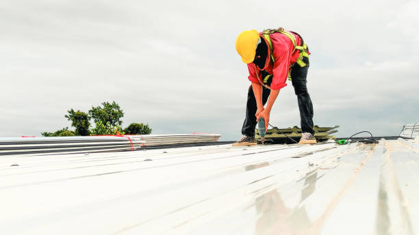 Roof Insulation in Liberty City, TX